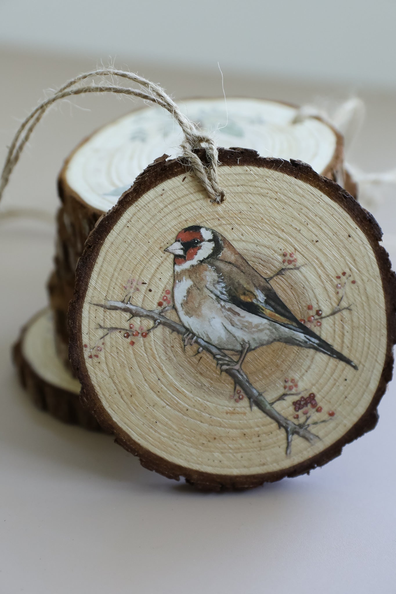 The Bramblewood Diaries IOD Transfer Pad 8x12 | Woodland Creatures & Botanicals | Seasonal Home Decor | Junk Journal Ephemera | DIY Décor