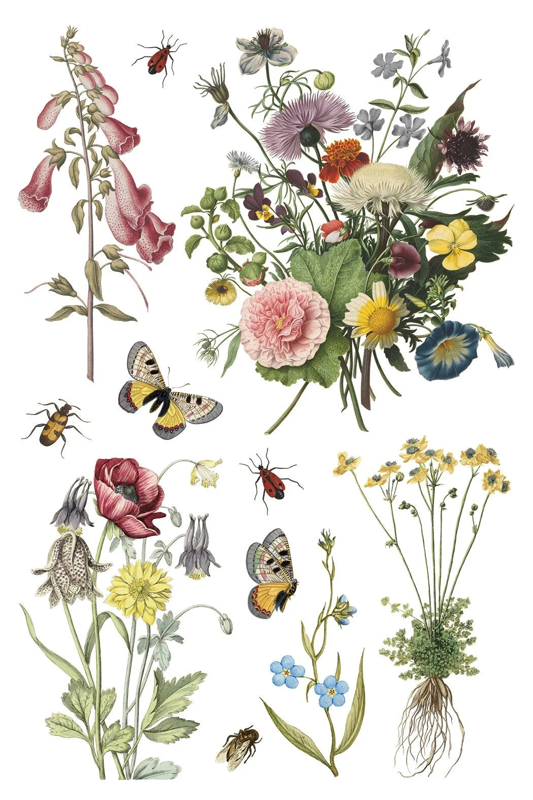 Wilde Bloemen 8 x 12 transfer | birds butterflies and flowers