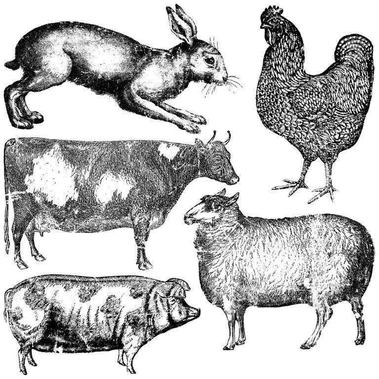 FARM ANIMALS 12×12 DECOR STAMP
