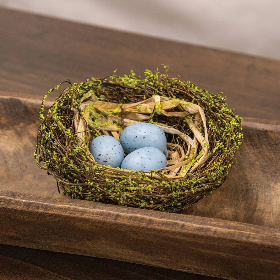 5" mossy nest with blue eggs