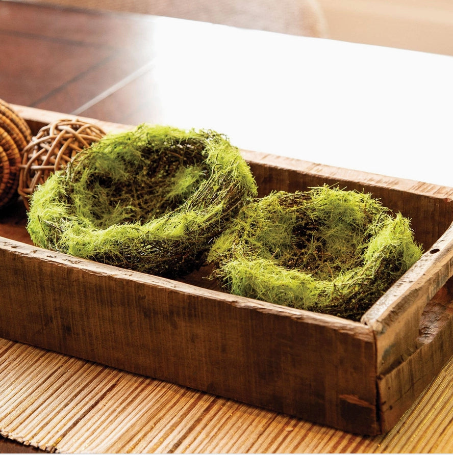 5" mossy vine birds nest