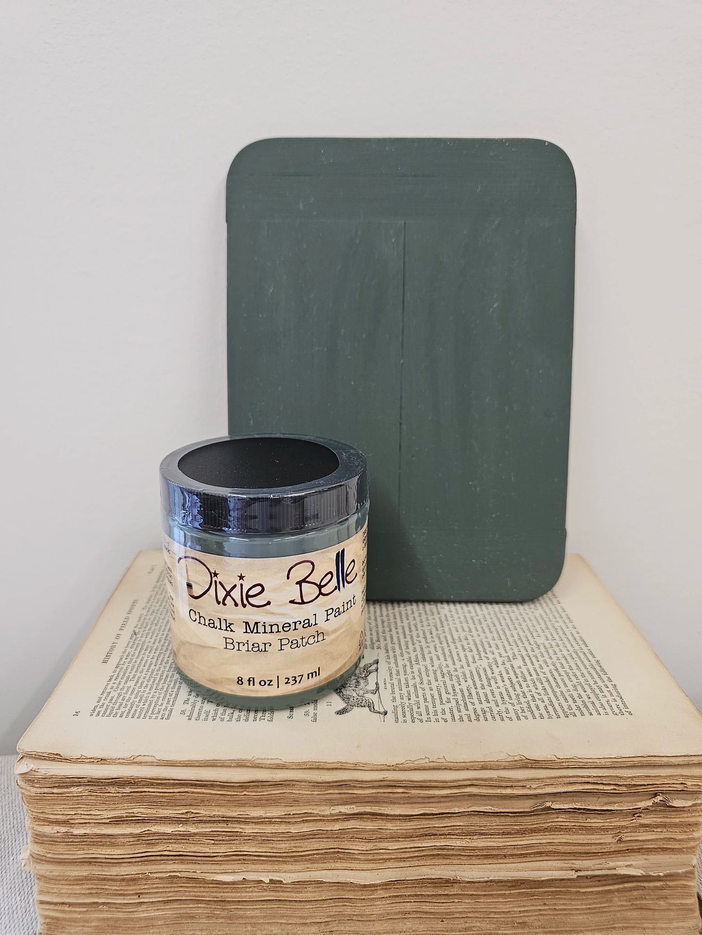 Briar Patch - Dixie Belle Chalk Mineral Paint