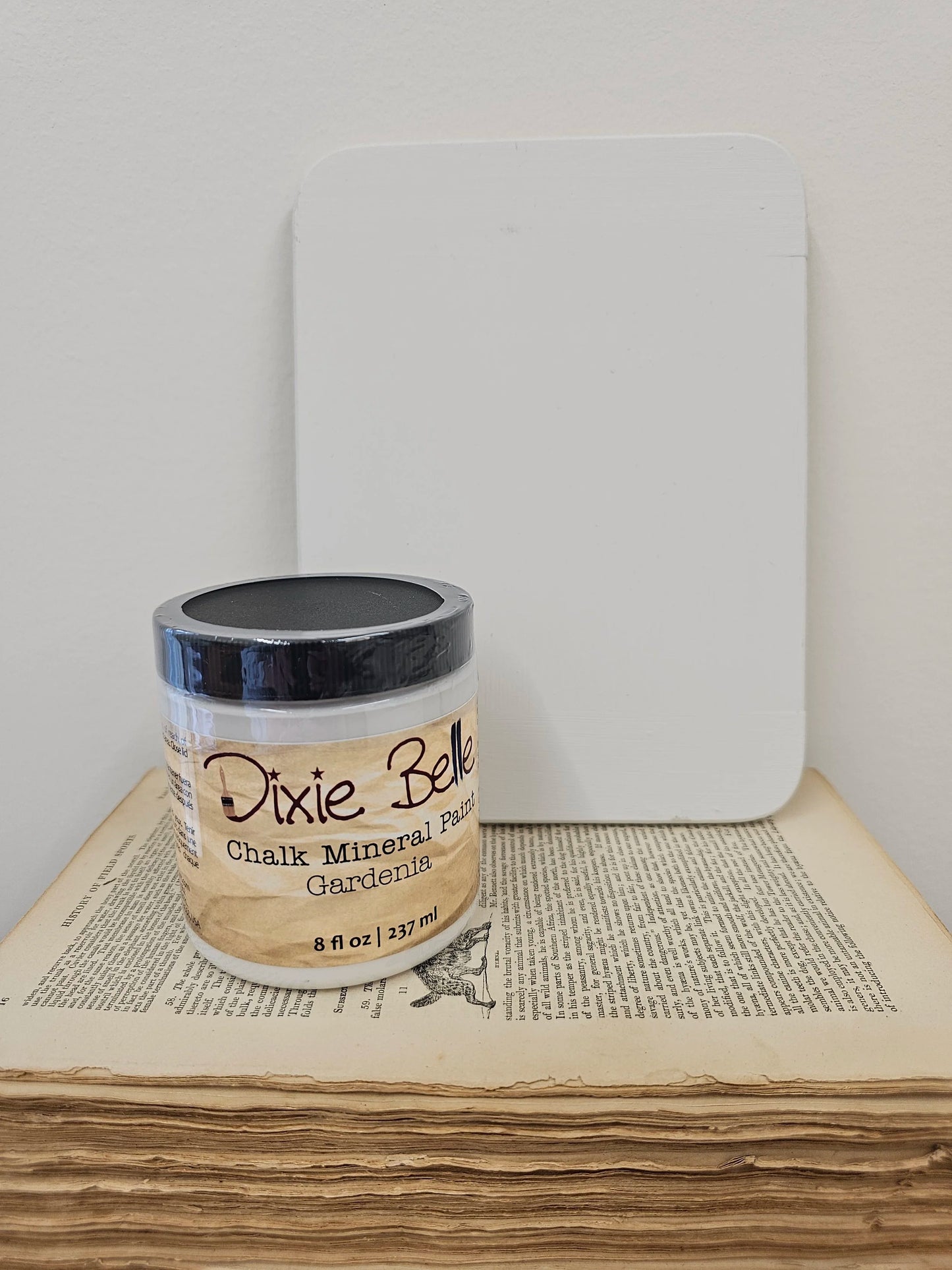 Gardenia- Dixie Belle Chalk Mineral Paint