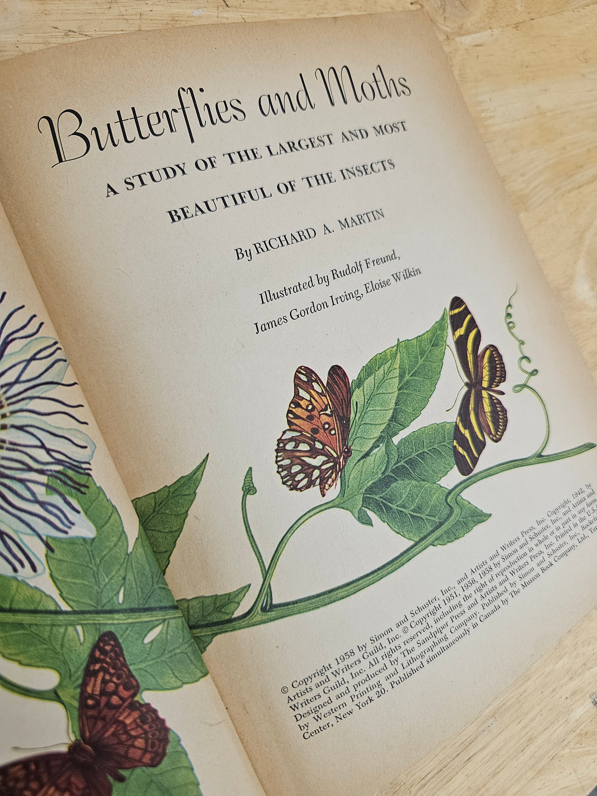 Set of 3 books - Butterflies and Moths, The Insect World, Mrs. Wag - a Doggy Tale