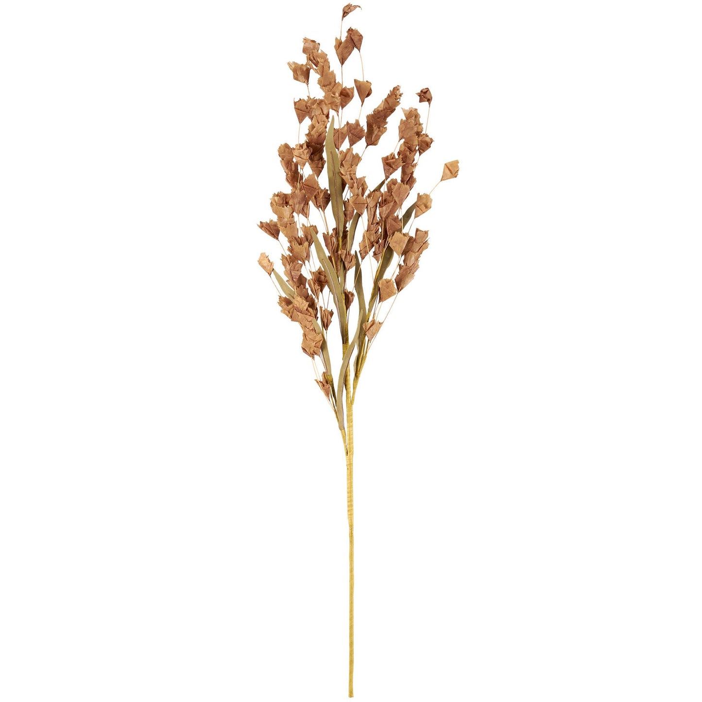 34" Brown Buds Floral Pick