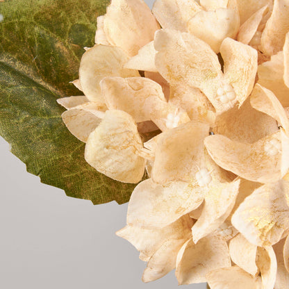 13" Cream & gold shimmer Hydrangea Floral Pick