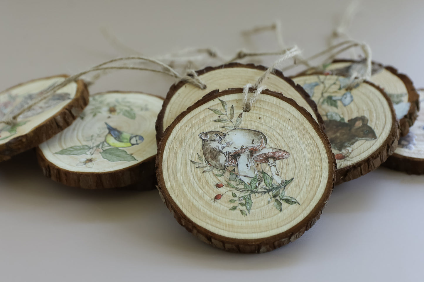 The Bramblewood Diaries IOD Transfer Pad 8x12 | Woodland Creatures & Botanicals | Seasonal Home Decor | Junk Journal Ephemera | DIY Décor