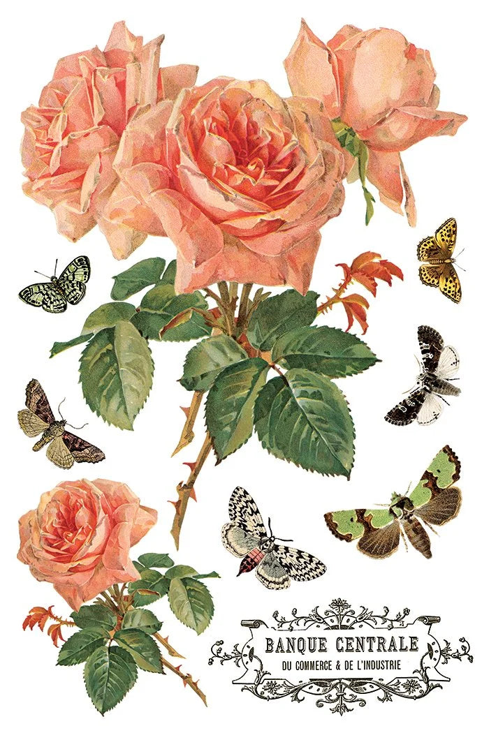 By Any Other Name 8 x 12 transfer | florals and botanicals
