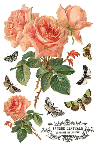 By Any Other Name 8 x 12 transfer | florals and botanicals
