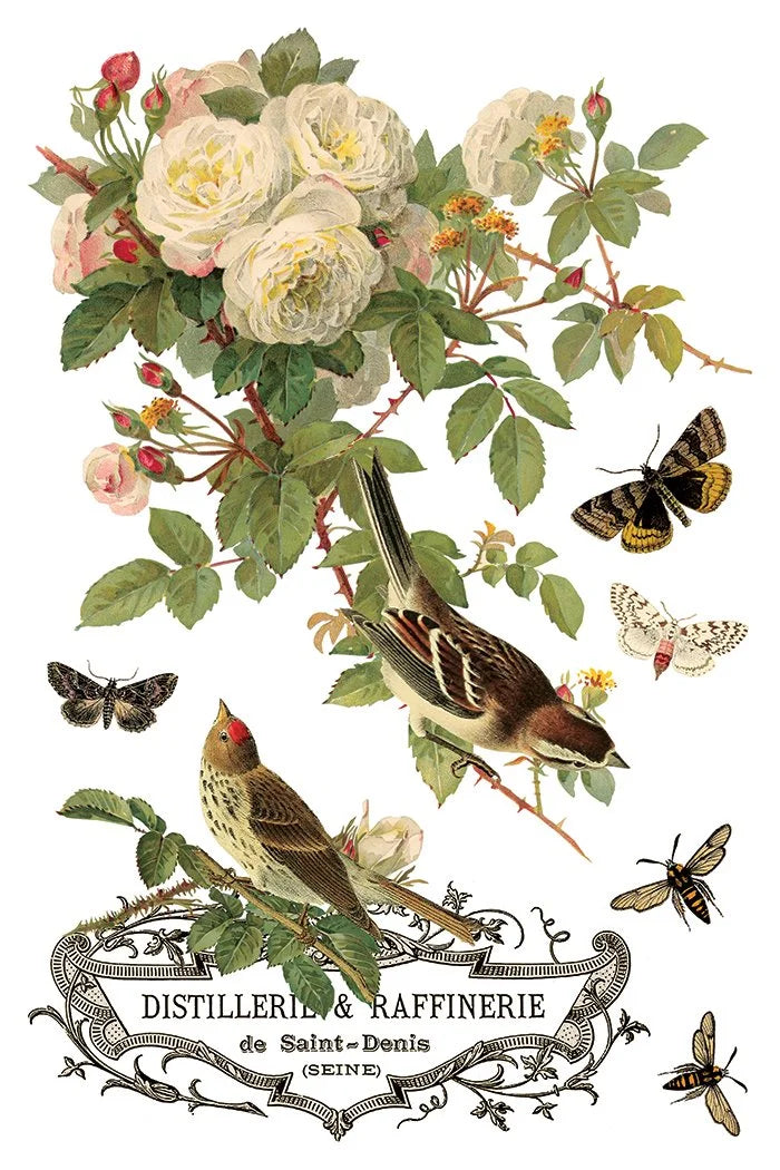 By Any Other Name 8 x 12 transfer | florals and botanicals