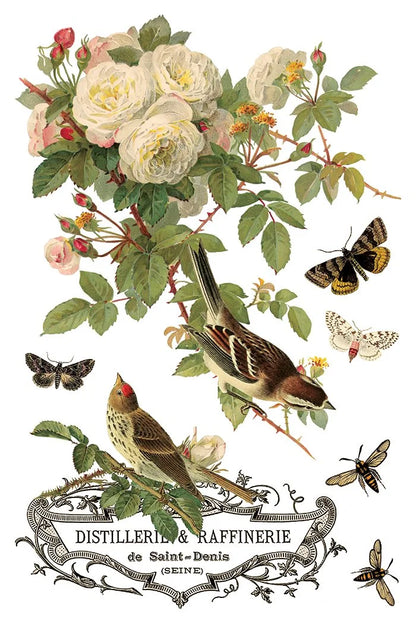 By Any Other Name 8 x 12 transfer | florals and botanicals