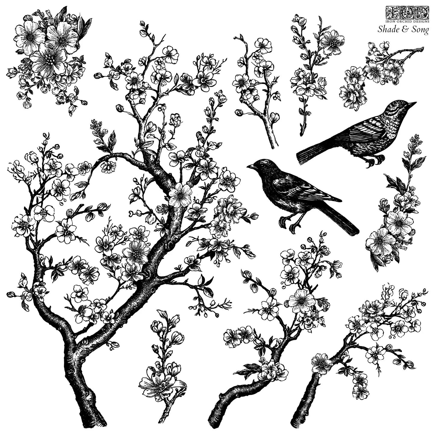 Shade & Song 12 x 12 stamp | birds and branches