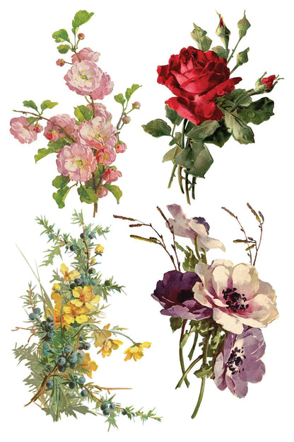 Catharina 8 x 12 Transfer | floral