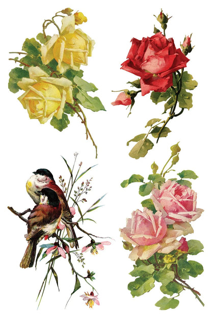 Catharina 8 x 12 Transfer | floral