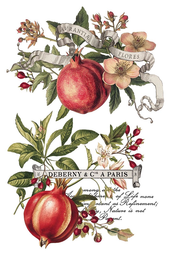 Clementine IOD Transfer Pad 8x12 | Vintage Still Life Florals | Kitchen Decor Transfers | Junk Journal Ephemera | Elegant DIY Craft Supplies