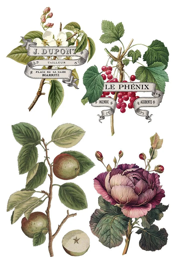 Clementine IOD Transfer Pad 8x12 | Vintage Still Life Florals | Kitchen Decor Transfers | Junk Journal Ephemera | Elegant DIY Craft Supplies