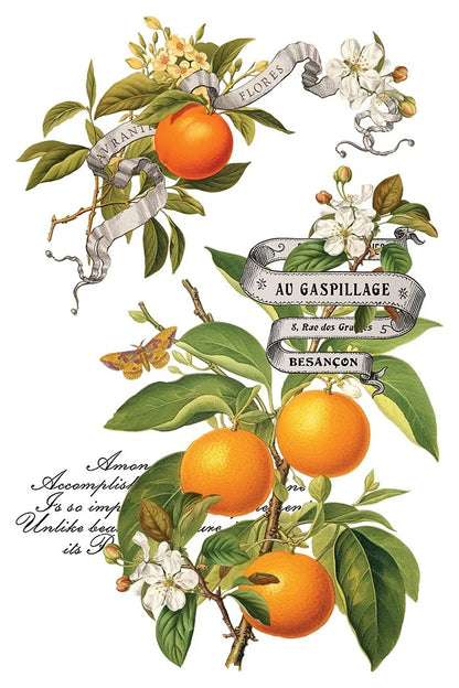 Clementine IOD Transfer Pad 8x12 | Vintage Still Life Florals | Kitchen Decor Transfers | Junk Journal Ephemera | Elegant DIY Craft Supplies