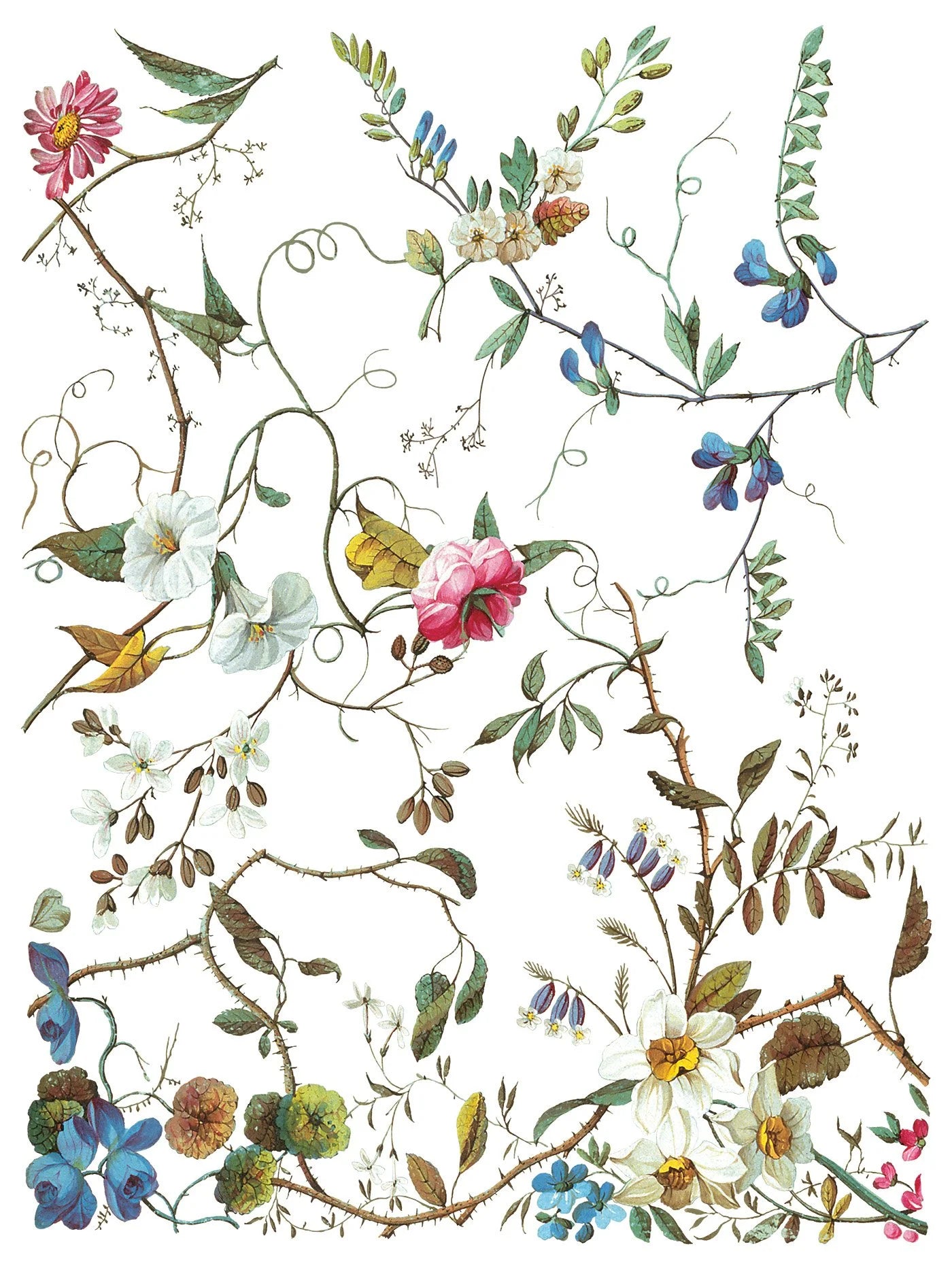 Lost Garden 12 x 16 transfer | floral