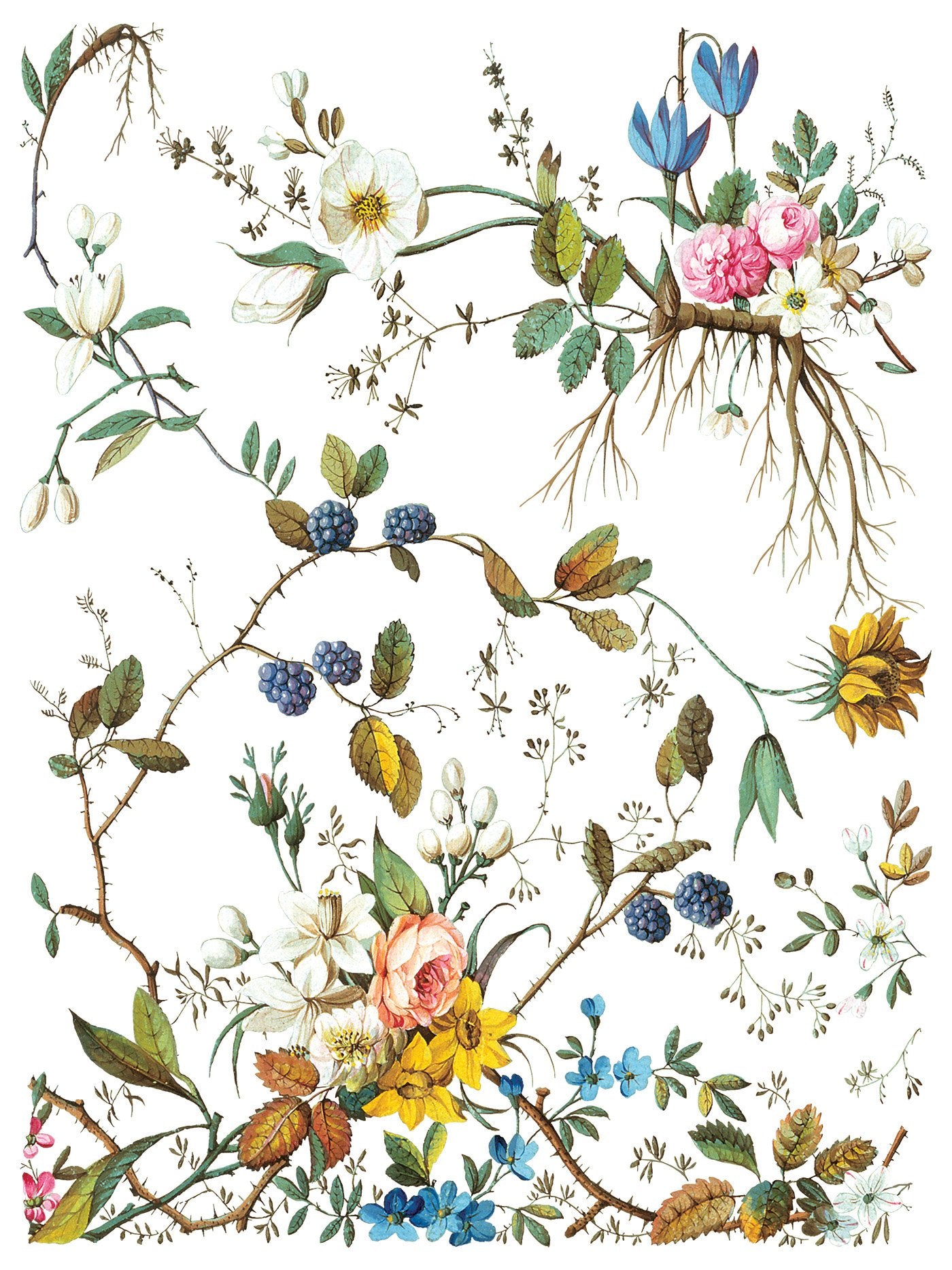 Lost Garden 12 x 16 transfer | floral