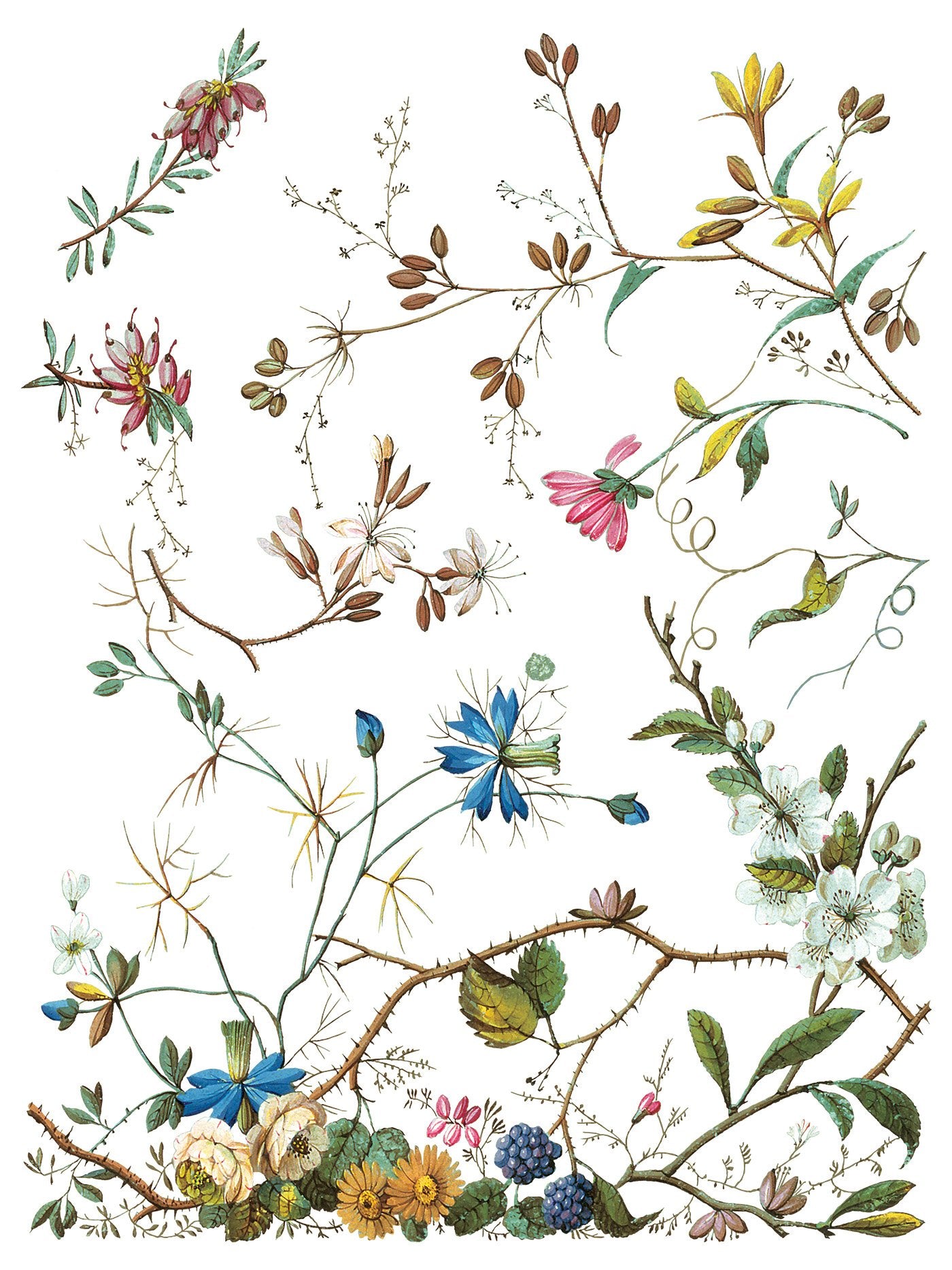 Lost Garden 12 x 16 transfer | floral