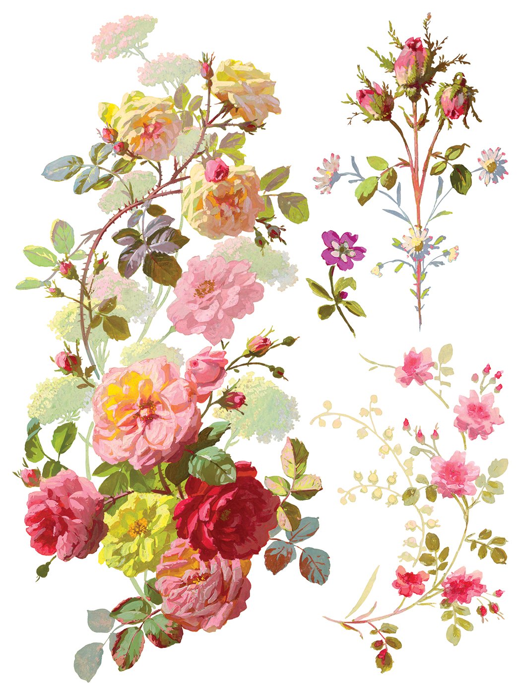 Saint Germain 12 x 16 transfer | floral