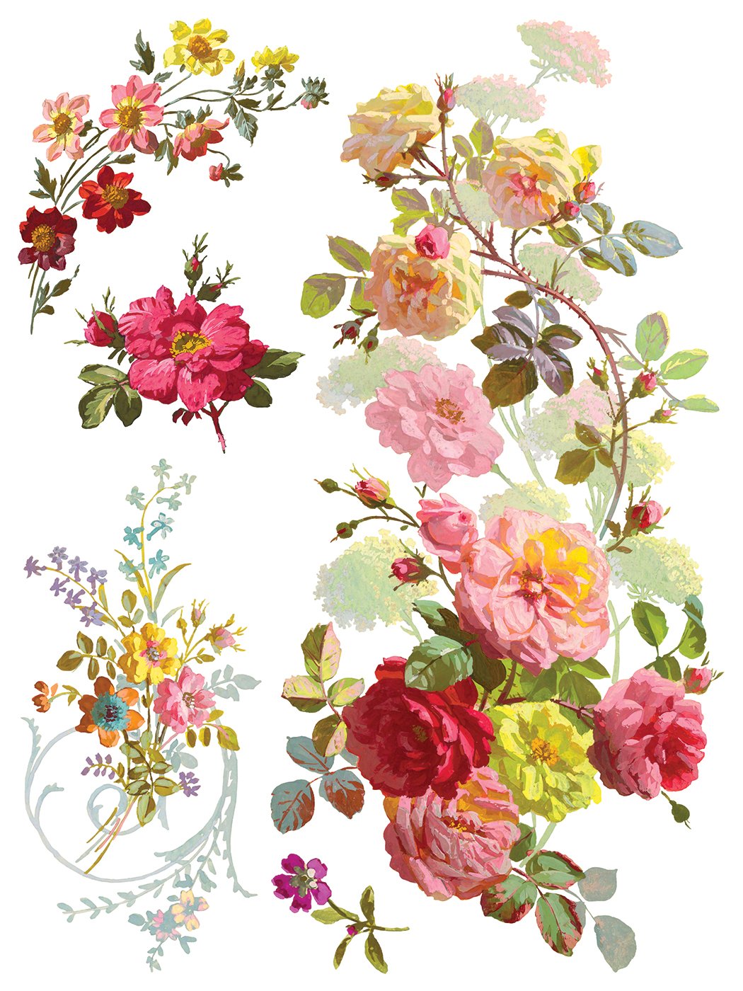 Saint Germain 12 x 16 transfer | floral