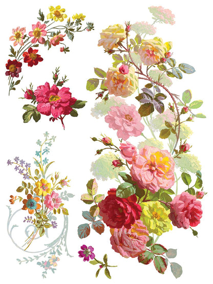 Saint Germain 12 x 16 transfer | floral