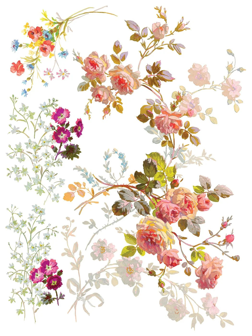 Saint Germain 12 x 16 transfer | floral