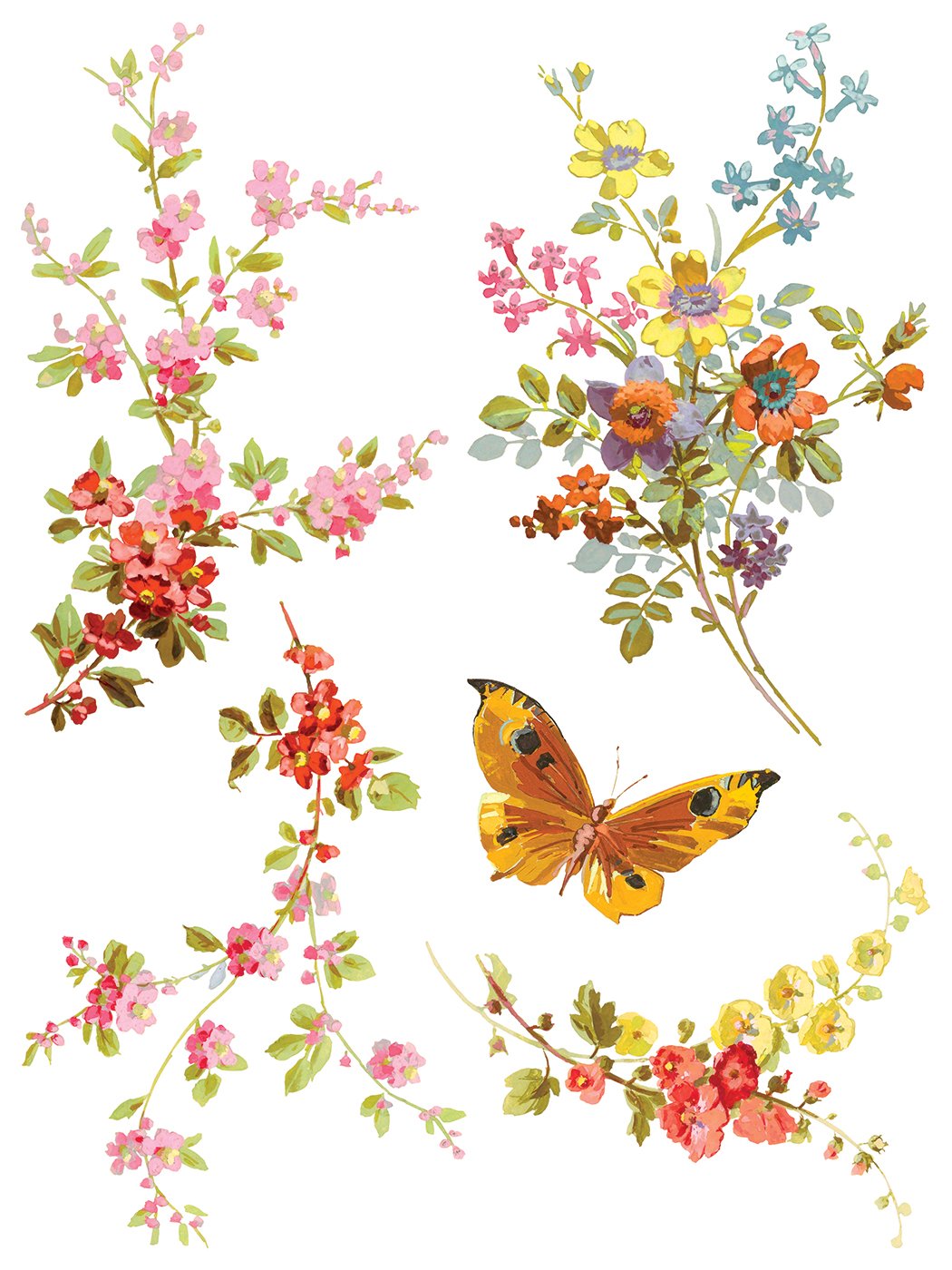 Saint Germain 12 x 16 transfer | floral