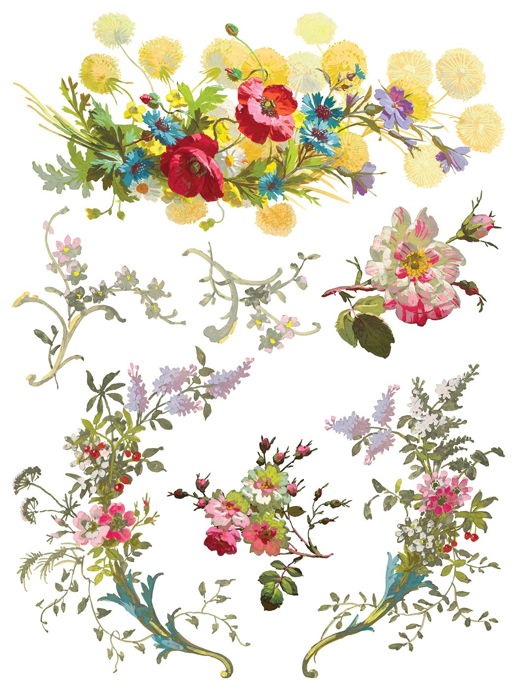 Saint Germain 12 x 16 transfer | floral