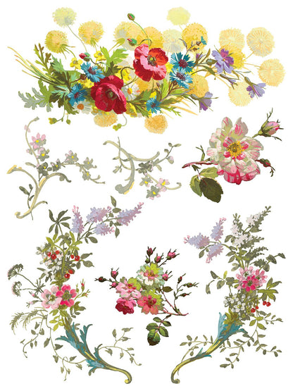 Saint Germain 12 x 16 transfer | floral