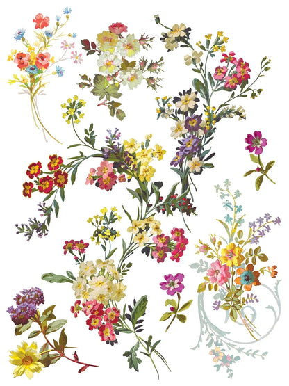 Saint Germain 12 x 16 transfer | floral