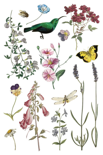 Wilde Bloemen 8 x 12 transfer | birds butterflies and flowers