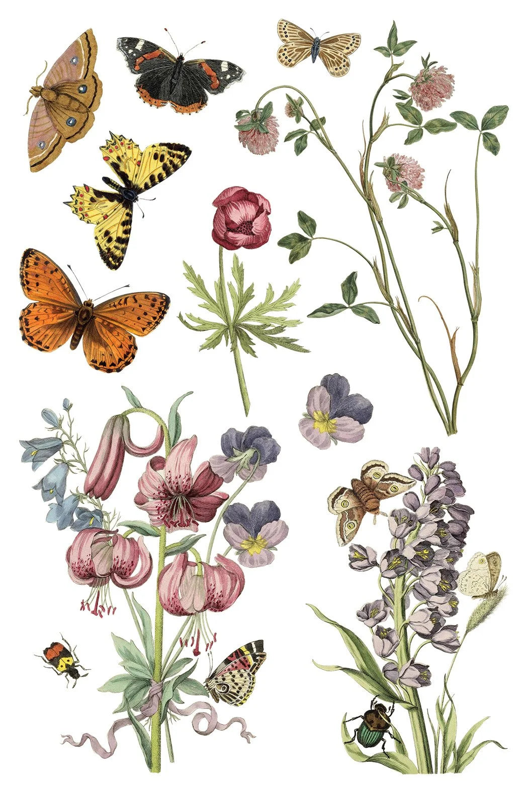 Wilde Bloemen 8 x 12 transfer | birds butterflies and flowers
