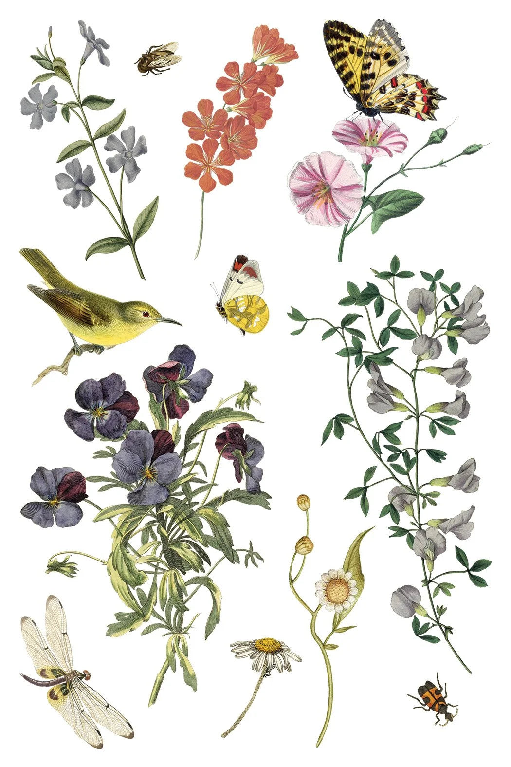 Wilde Bloemen 8 x 12 transfer | birds butterflies and flowers