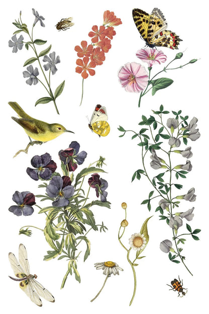 Wilde Bloemen 8 x 12 transfer | birds butterflies and flowers