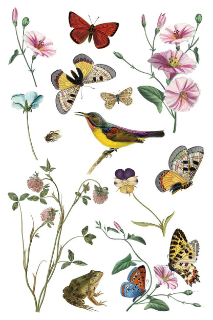 Wilde Bloemen 8 x 12 transfer | birds butterflies and flowers