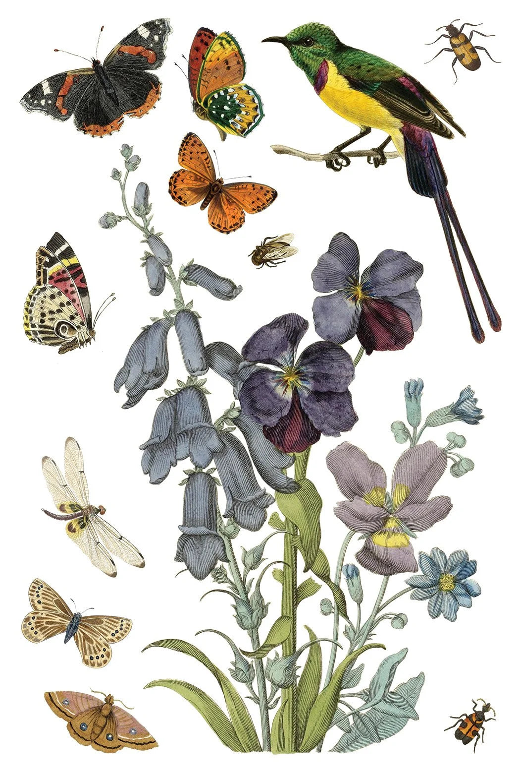 Wilde Bloemen 8 x 12 transfer | birds butterflies and flowers