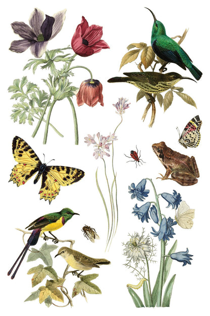 Wilde Bloemen 8 x 12 transfer | birds butterflies and flowers