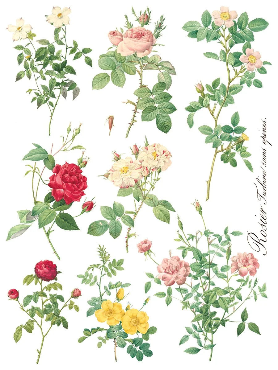 Rose Botanicals  Transfer, 8 Pages, 12”x16”, Full Color