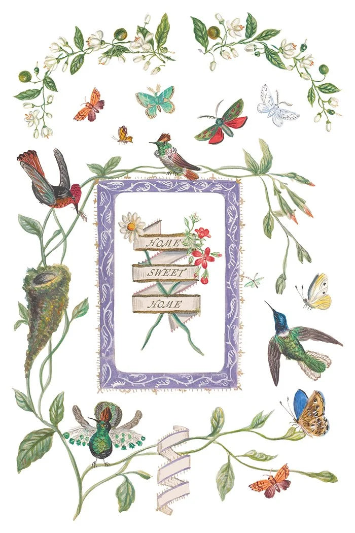 Emily Clare 8 x 12 transfer | pencil & watercolor whimsical illustrations