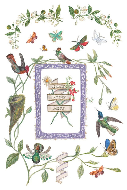Emily Clare 8 x 12 transfer | pencil & watercolor whimsical illustrations