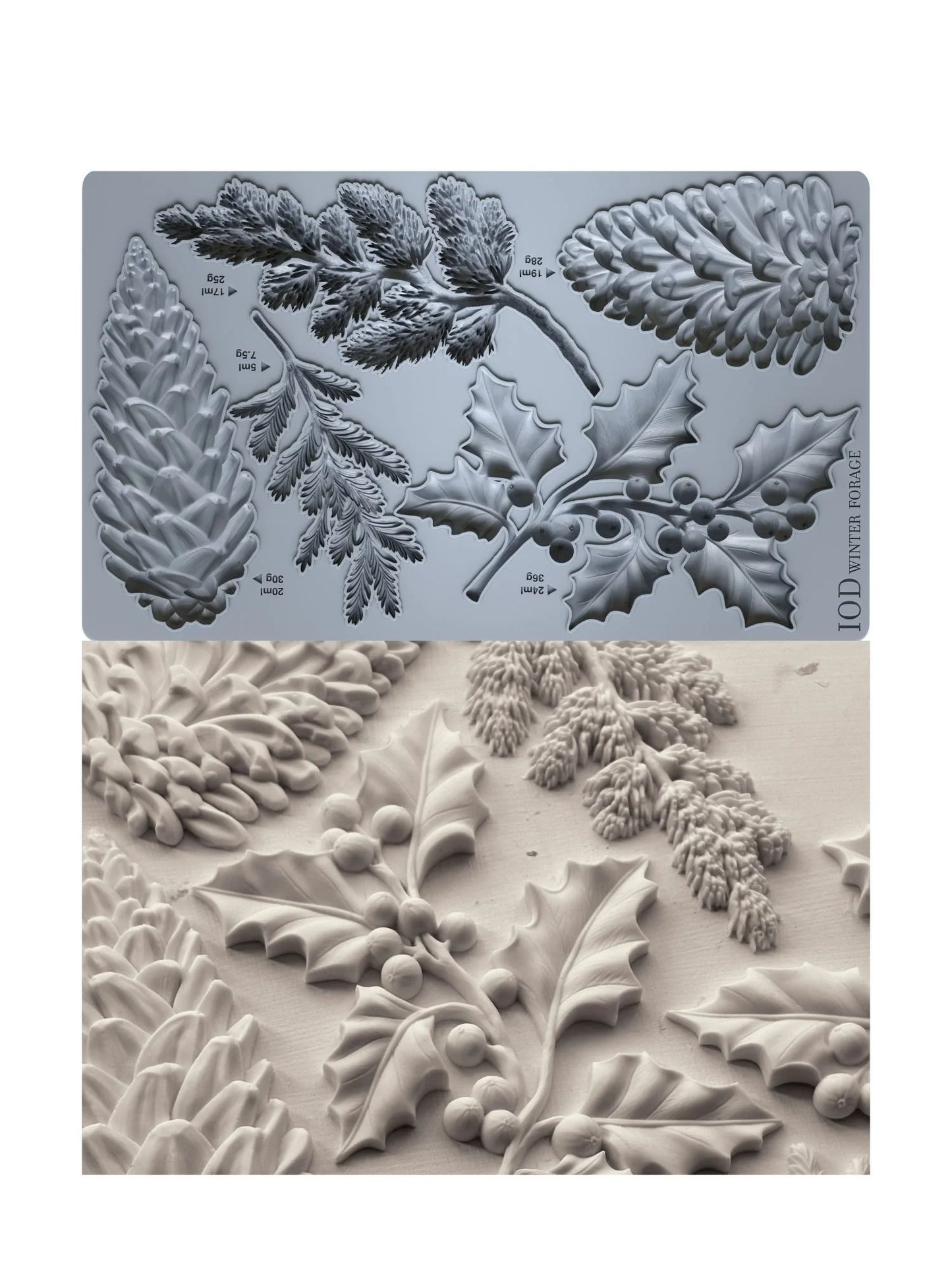 Winter Forage 6x10 IOD Mould