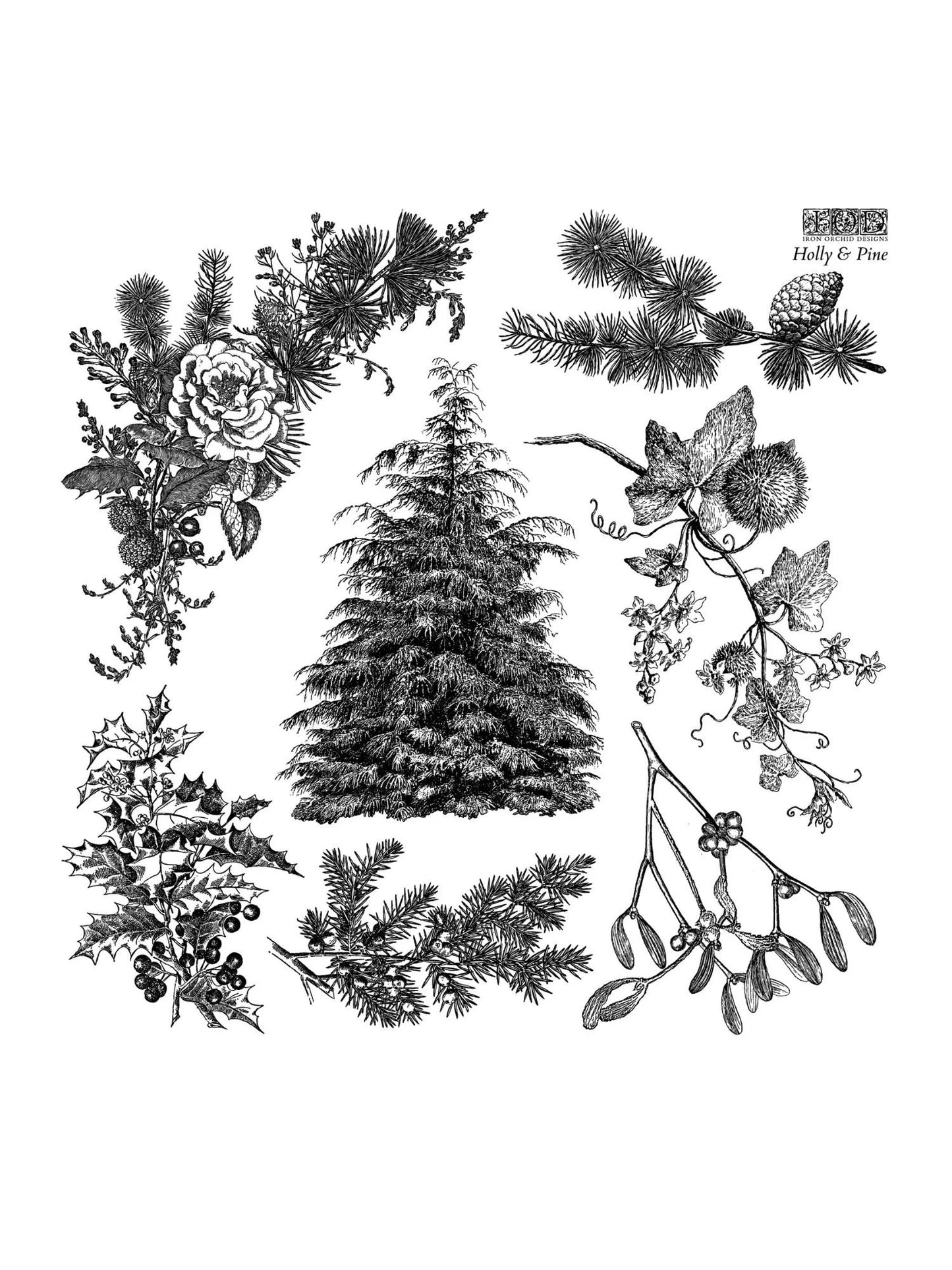 Holly & Pine 12x12 IOD Stamp