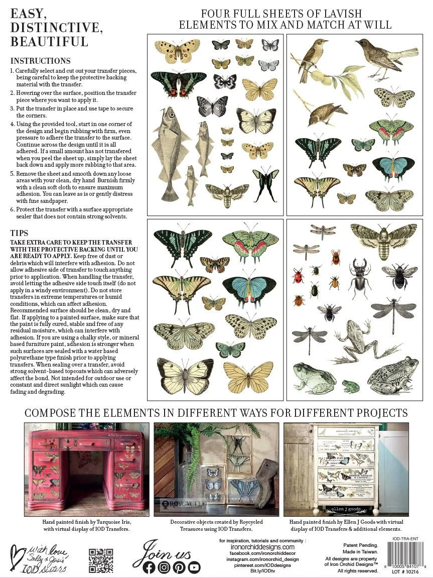 ENTOMOLOGY ETCETERA IOD TRANSFER