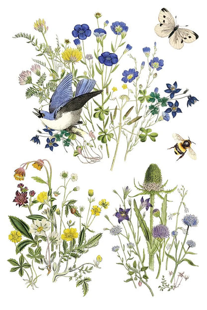 Flora Greca 8 x 12 transfer | birds and botanicals