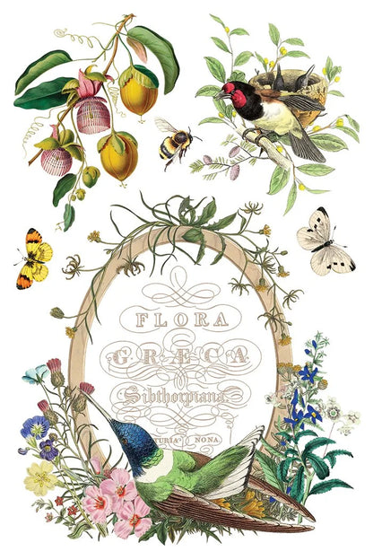 Flora Greca 8 x 12 transfer | birds and botanicals