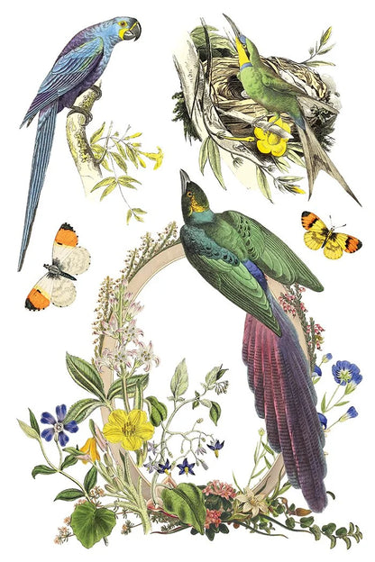 Flora Greca 8 x 12 transfer | birds and botanicals