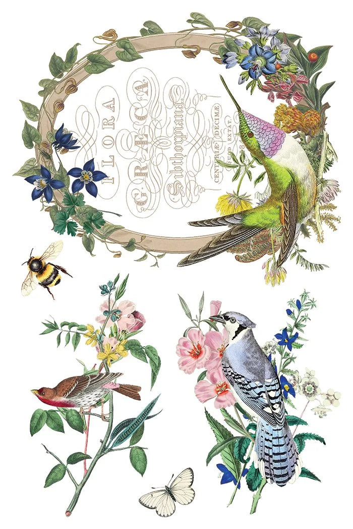 Flora Greca 8 x 12 transfer | birds and botanicals
