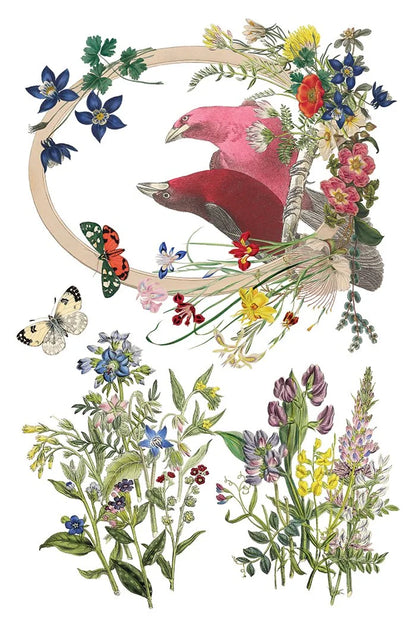 Flora Greca 8 x 12 transfer | birds and botanicals